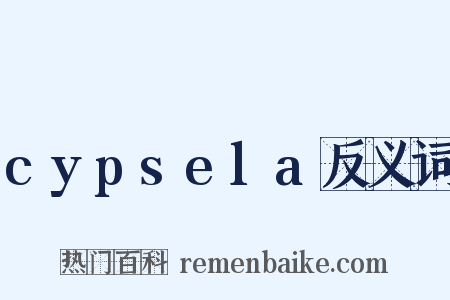 cypsela反义词是什么意思的图片